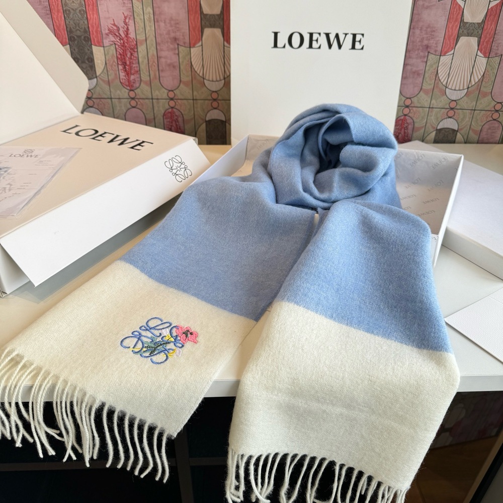 LOEWE Color Block Cashmere Wool Scarf with Floral Embroidery
